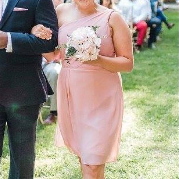 David’s bridal bridesmaid dress - Picture 5 of 5